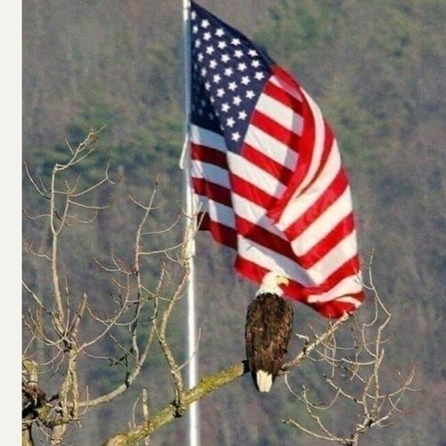 Americans 1st, Right after The GoOD LORD.