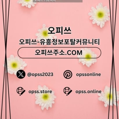 압구정지역에서 제공되는 OP 서비스,압구정출장샵 및 출장마사지 서비스.