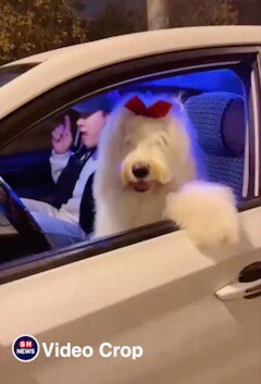 看来没少蹦啊😂节奏完对🥰