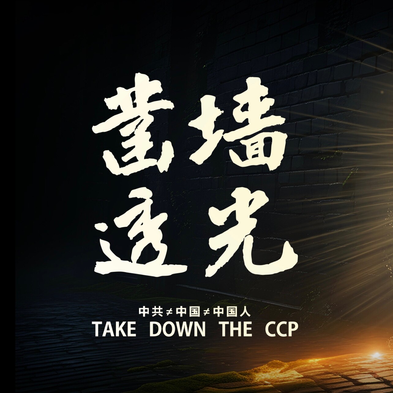 🙏唤醒墙内同胞
👉直击中共真相
👍神秘嘉宾加盟
💥嬉笑怒骂辣评
🌟凿墙透光开播

🐉北京时间:12月30日PM3:00🐉
🇯🇵东京时间:12月30日PM4:00🇯🇵
📺直播频道...