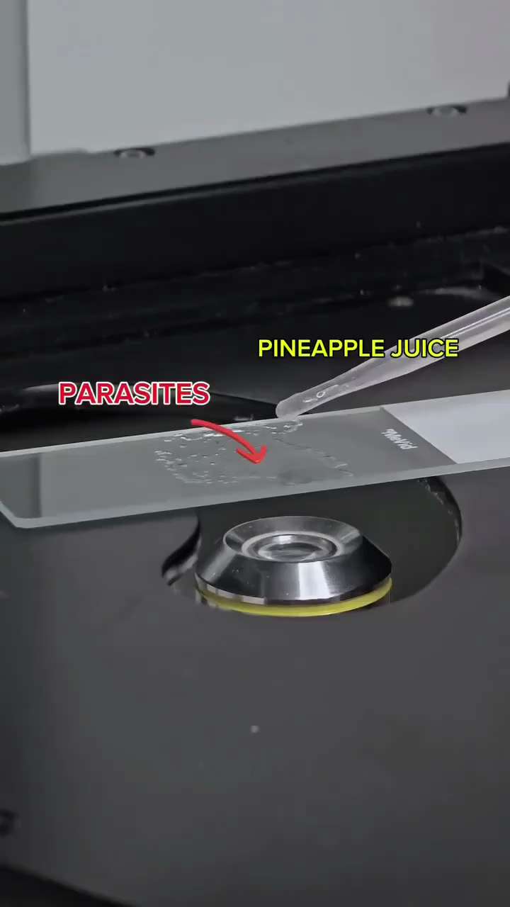 『🍍パイナップルジュース VS ヒトの寄生虫』

パイナップルにはブロメラインと呼ばれる酵素が含まれている。
タンパク質を分解する。
https://t.me/+EwkBwVQtTvVjY2Q6
h...