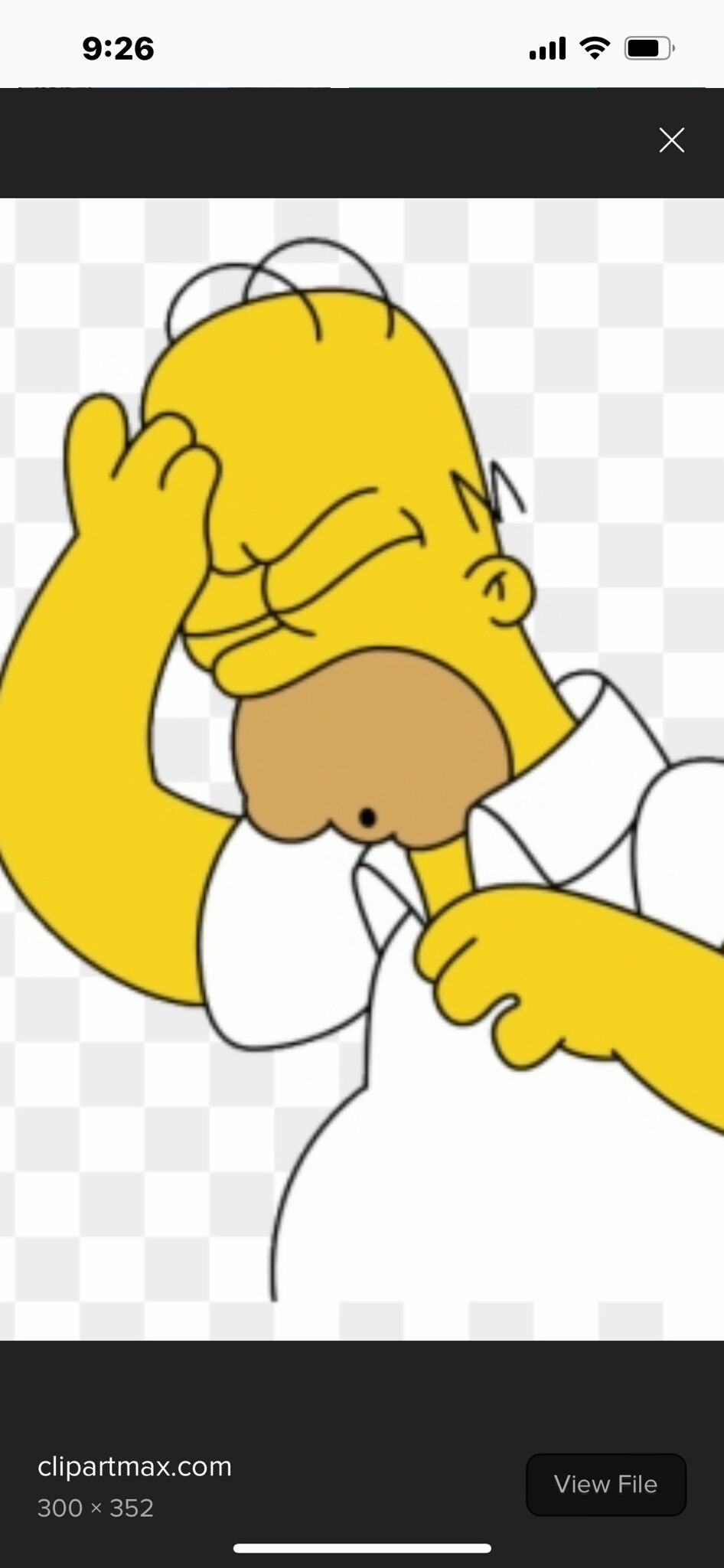 “I am sick and tired of these white pilots landing safely and on time!!”