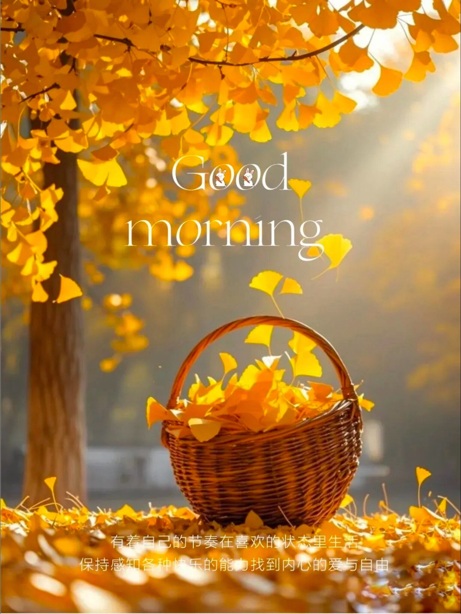 🍂ᴳᴼᴼᴰ ᴹᴼᴿᴺᴵᴺᴳ  🌤💭
不管遇见什么
请别辜负今天
时间虽然悄无声息
却一直在默默丈量你每一步的努力
…