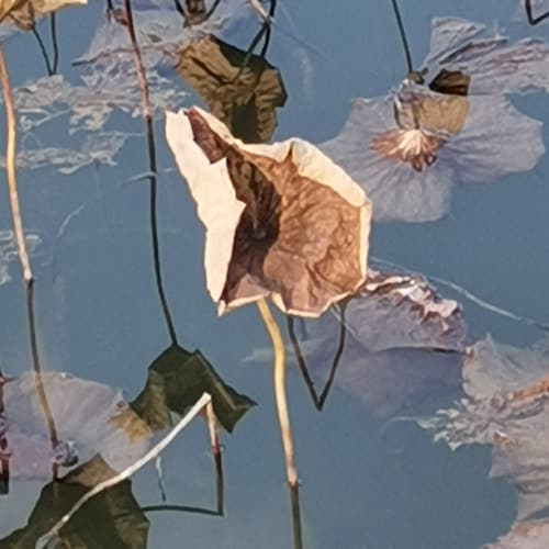 Visit mingyao's profile on GETTR. View their posts, photos, videos, and connect with them on the social platform.