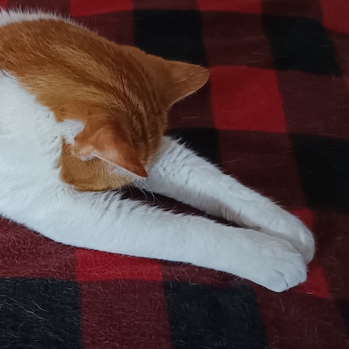 For we do not wrestle against flesh and blood, but against principalities, against powers, against the rulers of the dar...