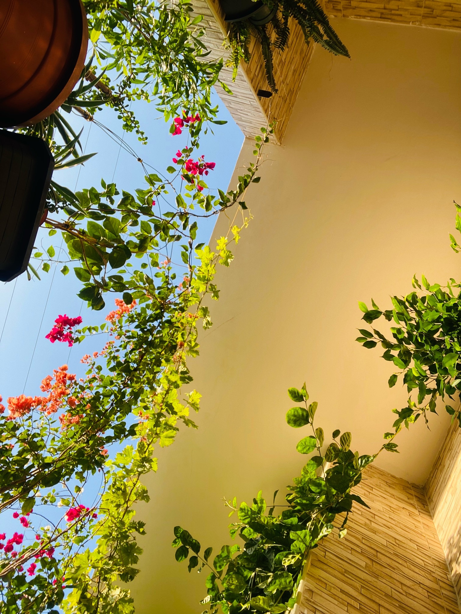 “Open your mouth only if what you are going to say is more beautiful than silence.”

— Arabic Prover...