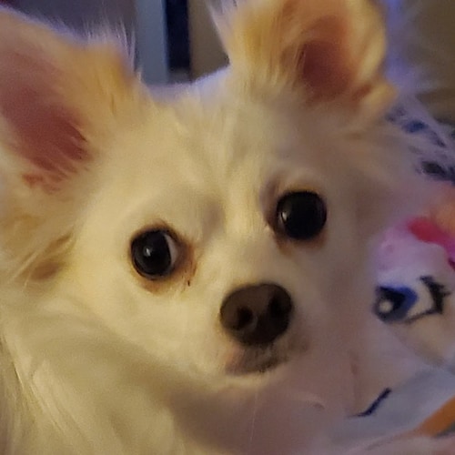 Visit krisroberts1950's profile on GETTR. View their posts, photos, videos, and connect with them on the social platform.