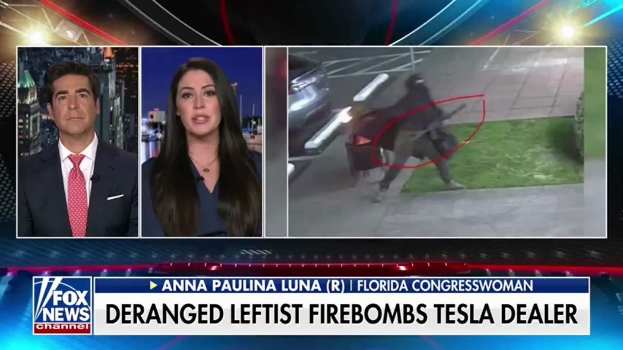Rep. Anna Paulina Luna on the rise in violence against Elon Musk: "I've heard conversations on the H...