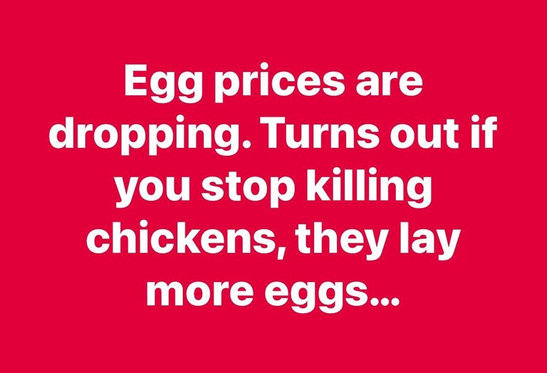 #eggs  

