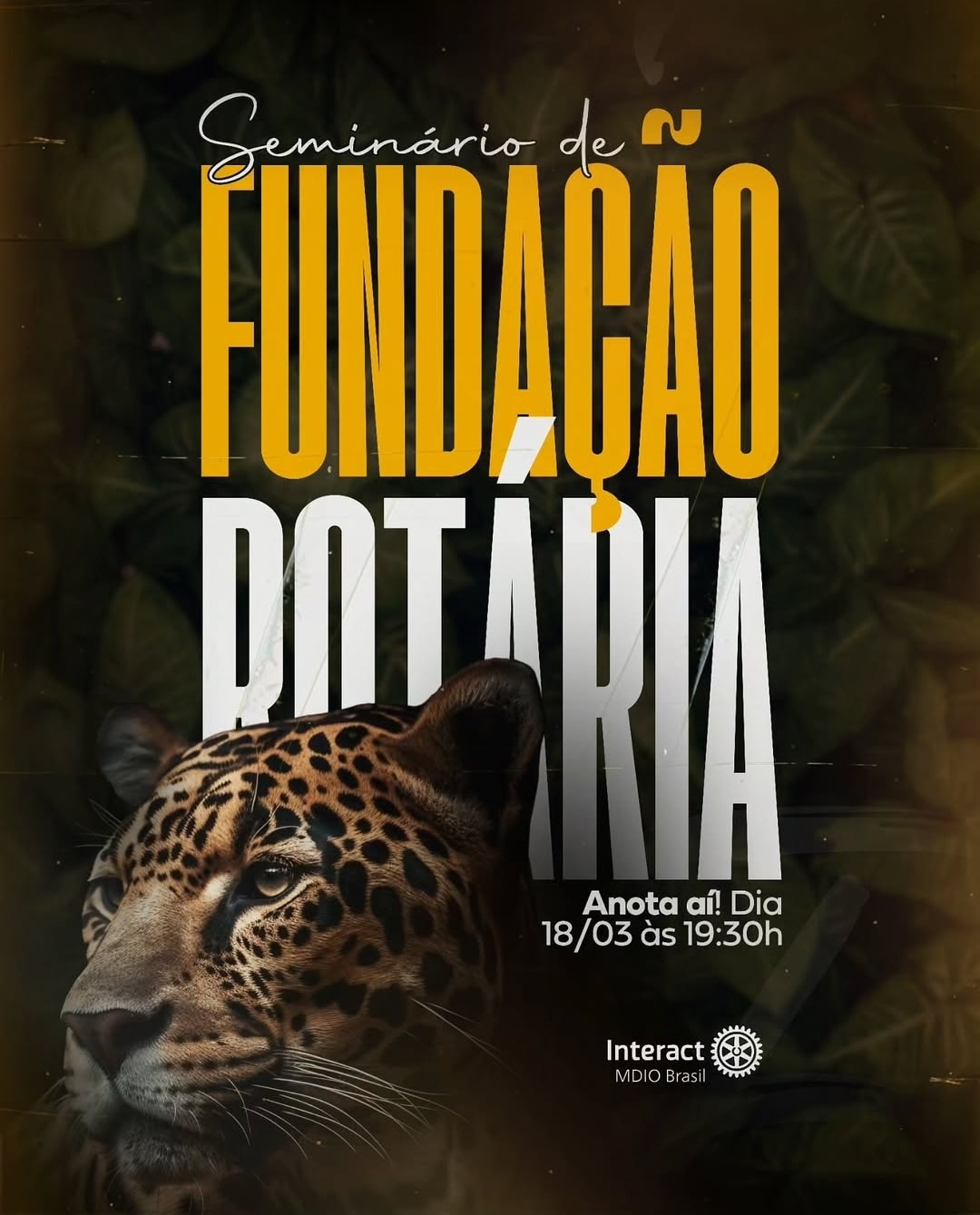 Texto do MDIO Interact Br:

SEMINÁRIO DE FUNDAÇÃO ROTÁRIA!

A Fundação Rotária causa um impacto GIGA...