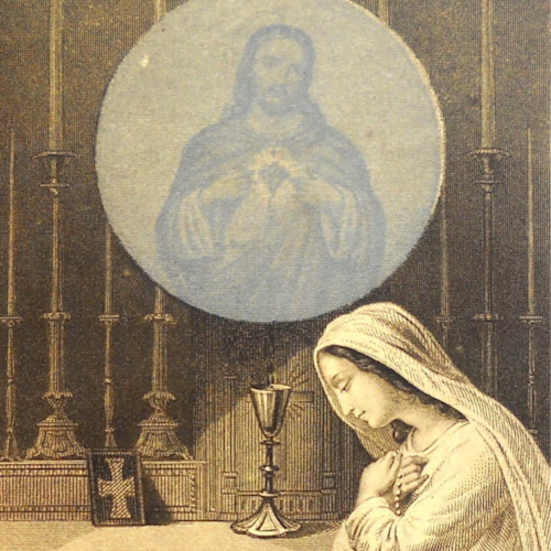 Traditional Catholic, "Covid" widow, autodidact.