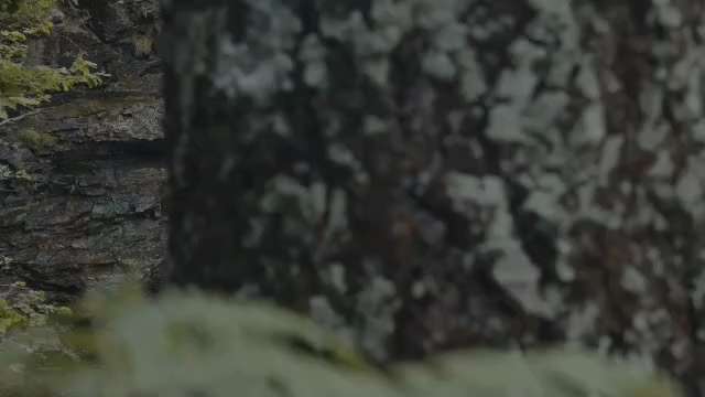 View Timothy Seeley - Voice Talent's post on GETTR. Join the discussion, share your thoughts, and connect with the community.