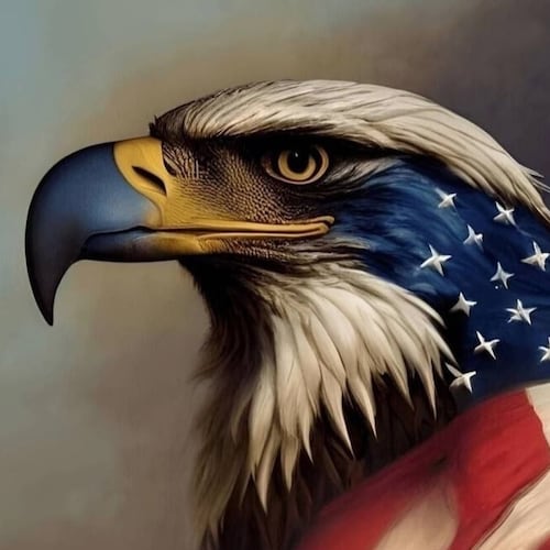 #Patriot #UltraMAGA #1A #2A #ProLife #NRA Defending American freedom and values for my children/grandchildren. 
Christi...