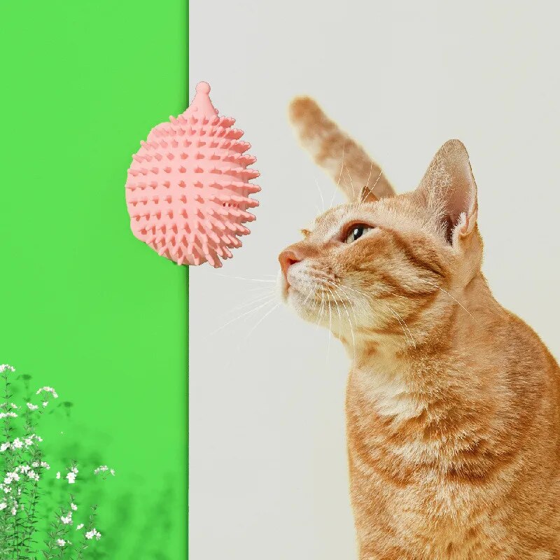 Household Pet Comb Massage Corner Brush
$5.25

Check Hair :https://mkstor.wed2c.com/goodsDetails?job...