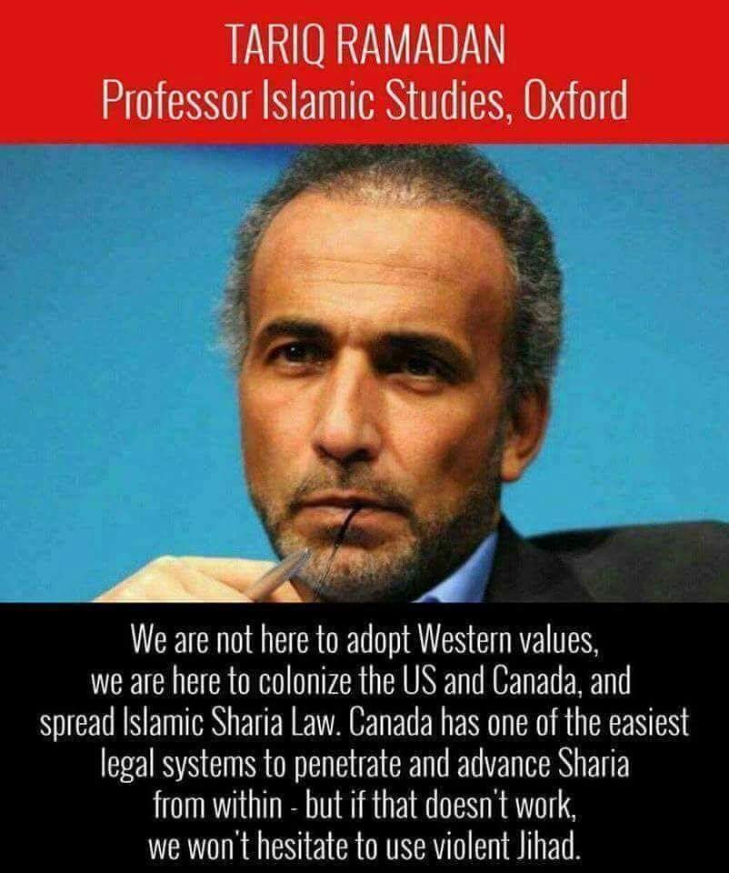 View meelee63's post on GETTR. Join the discussion, share your thoughts, and connect with the community.