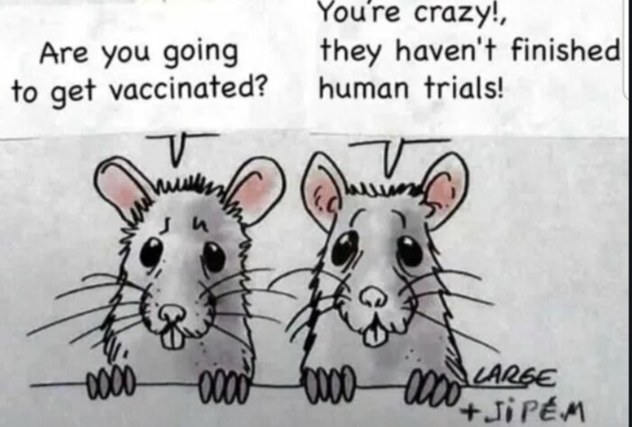 View 🦊SWAMP1FOX🦊's post on GETTR. Join the discussion, share your thoughts, and connect with the community.