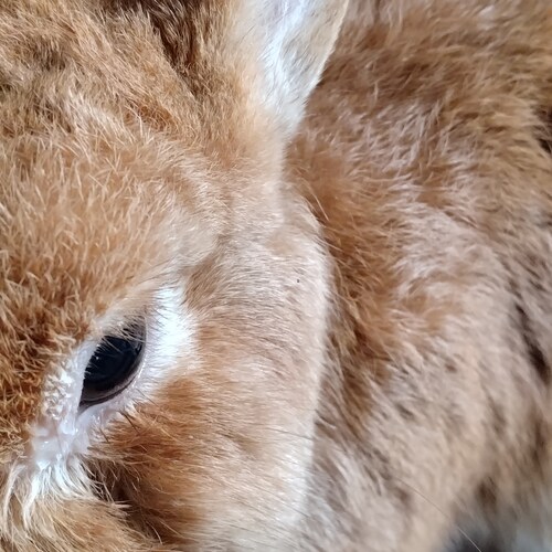 today'sfood串揚げ
https://youtube.com/shorts/d1DRO7flY7s?si=I7pZuOgv_wOYTFxi
#food #eat #YouTube #Duali...