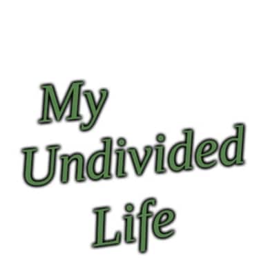 A Yoga Therapist. I help you cope with life one breath at a time. Bitcoin is the future.