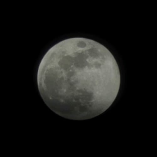 Visit I_AM_who_I_AM's profile on GETTR. View their posts, photos, videos, and connect with them on the social platform.