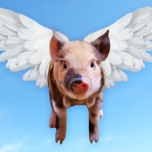 Demokratie, Freiheit, Laufen, Gesundheit. Democracy, Freedom, Running, Health. “The simple step of a courageous individu...