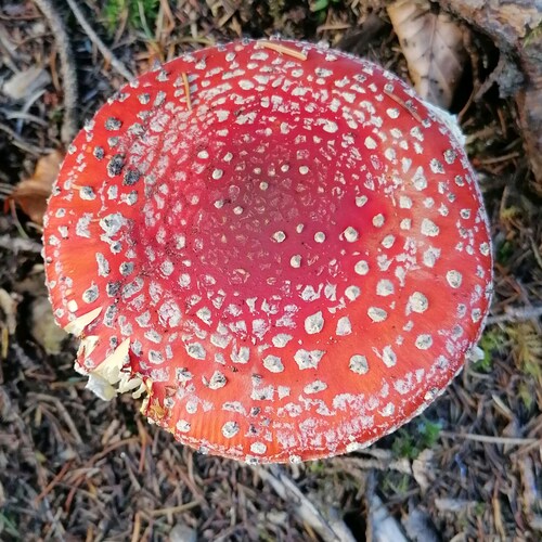 Visit çoise's profile on GETTR. View their posts, photos, videos, and connect with them on the social platform.