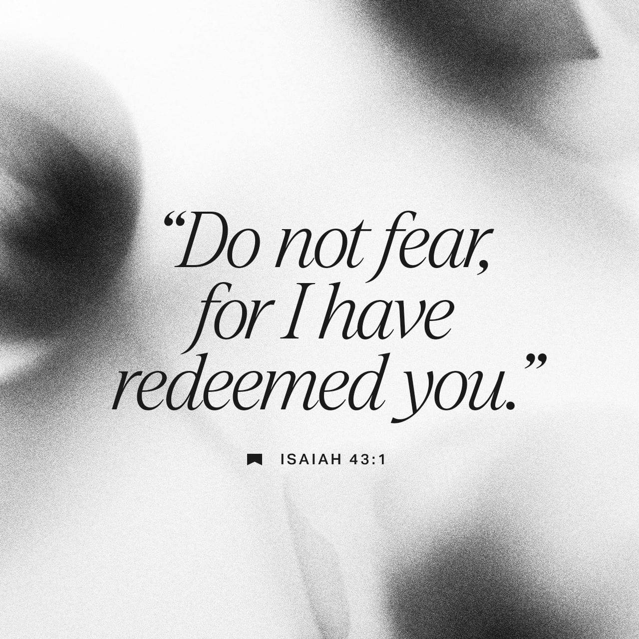 View brassring's post on GETTR. Join the discussion, share your thoughts, and connect with the community.