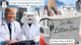 Trump's Prescription For Success | In the Litter Box w/ Jewels & Catturd β Ep. 800 β 5/12/2025