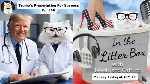 Trump's Prescription For Success | In the Litter Box w/ Jewels & Catturd – Ep. 800 – 5/12/2025