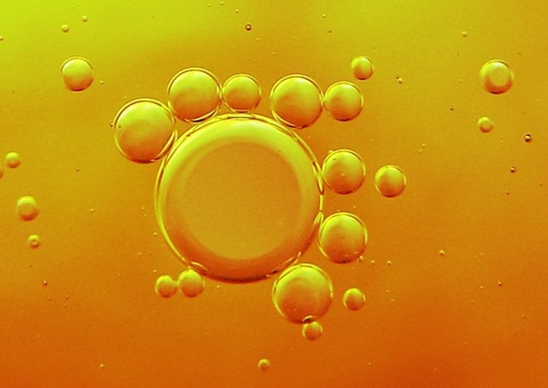 Single Cell Oil Market is Poised for Significant Growth Due to Advancements in Fermentation Technolo...