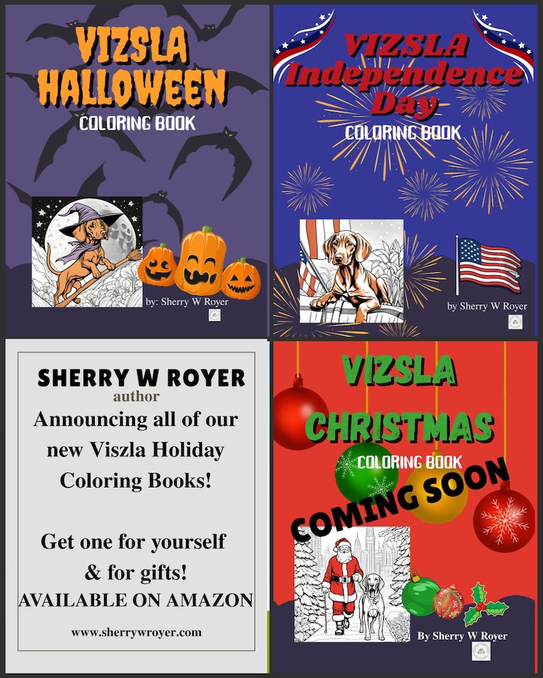 Sharing a wonderful announcement, Vizsla Coloring Books (Independence Day & Halloween) are now available…check out the Vizsla Coloring Book series - links