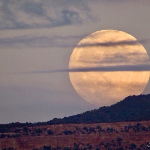 Love God, my wife and family, my country. Retired Pastor. Patriot. 2A. MAGA! 
NO DM’s. NO DM’s. NO DM’s. Not interested ...