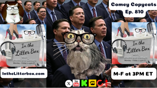 Comey Copycats | In the Litter Box w/ Jewels & Catturd – Ep. 810 – 5/29/2025