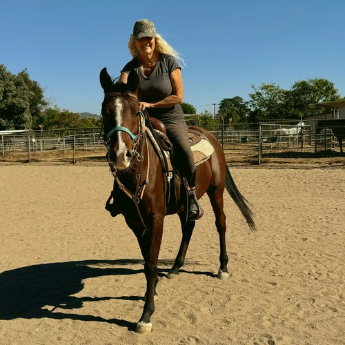 Visit PonyPal's profile on GETTR. View their posts, photos, videos, and connect with them on the social platform.