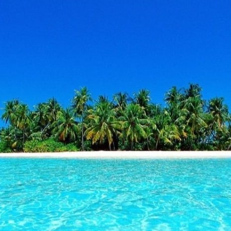 Visit travelviajes's profile on GETTR. View their posts, photos, videos, and connect with them on the social platform.