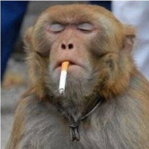 I am not anti-America…I love my country….I am anti-corruption…anti-evil….and I don’t believe the lies we were fed since ...