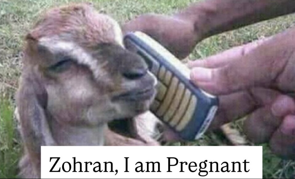 View 𝓛𝓲𝓼𝓪 🇺🇸 🦅's post on GETTR. Join the discussion, share your thoughts, and connect with the community.