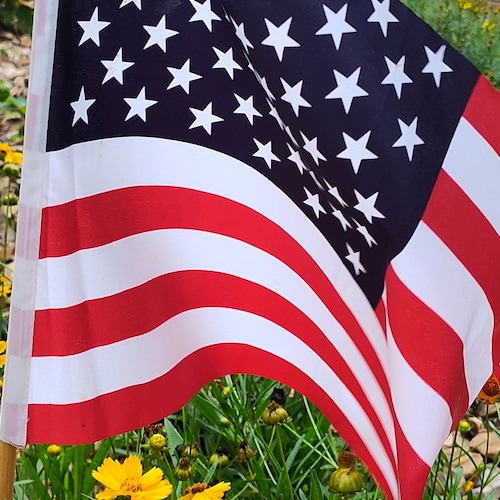 Love God, Family, and Country. Married, 3 children, Elementary School Teacher. Enjoy gardening, fishing and hiking with ...