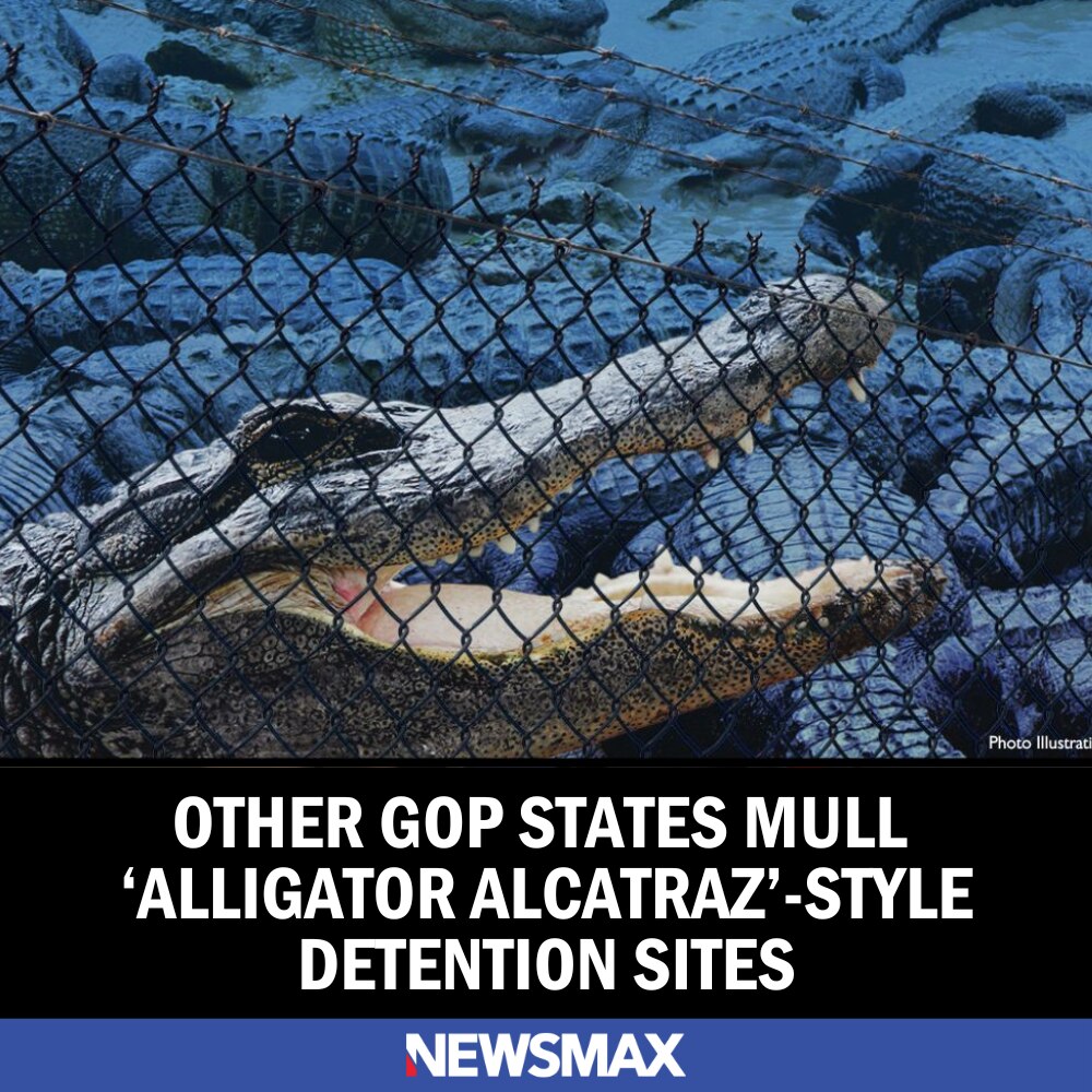 “Dear DHS: We’ve got a swamp and a dream. Let’s talk." 
— South Carolina Rep. Nancy Mace

More conse...