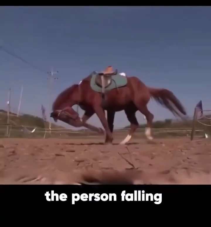 A horse named Tom who has a dramatic strategy of avoiding work, he plays dead whenever someone wants...