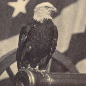 Visit Big_Benji's profile on GETTR. View their posts, photos, videos, and connect with them on the social platform.