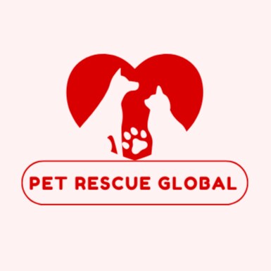 Worldwide Dogs Rescue PetRescueGlobal on GETTR - Profile and Posts on GETTR