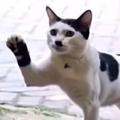 I Love America. I will do all I can to help the blind see. Truth is the answer. We need to Stop Paying  Federal Tax!