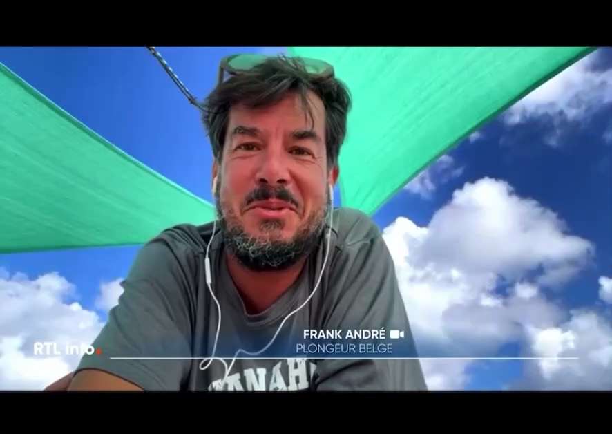 Regardez cette belle vidéo d'amour entre un plongeur belge et un mérou

Les poissons ont autant de s...