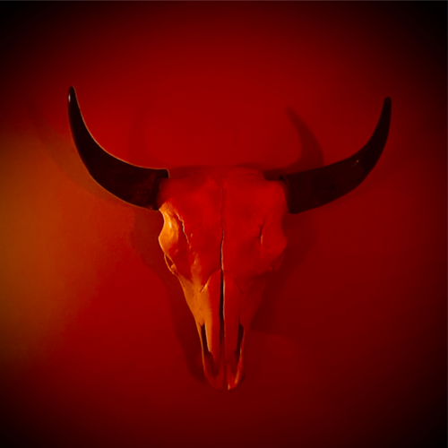 American Veteran, American Patriot, junk yard dog, RABID ANTI-MARXIST, RABID ANTI-COMMUNIST, RABID ANTI-NAZI, ANTI-ISLAM...