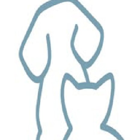 Animal shelter in Broward county FL, 🐕🐻🐹🐰🐾 advocating for and improving the lives of animals