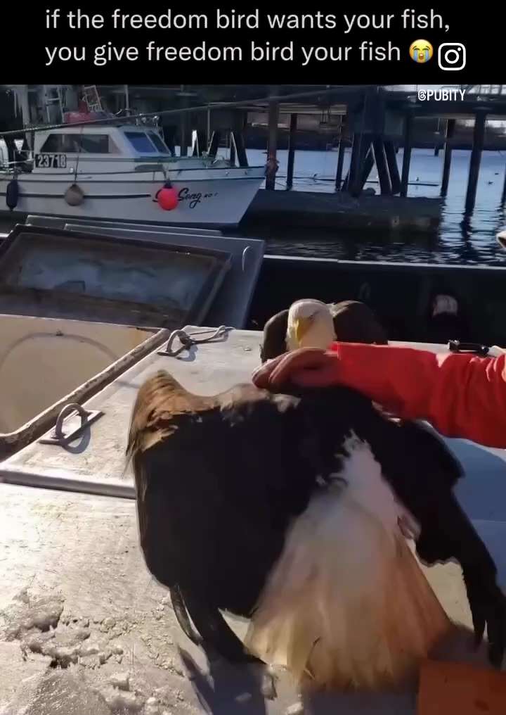 My guess is that this is in Alaska.  

