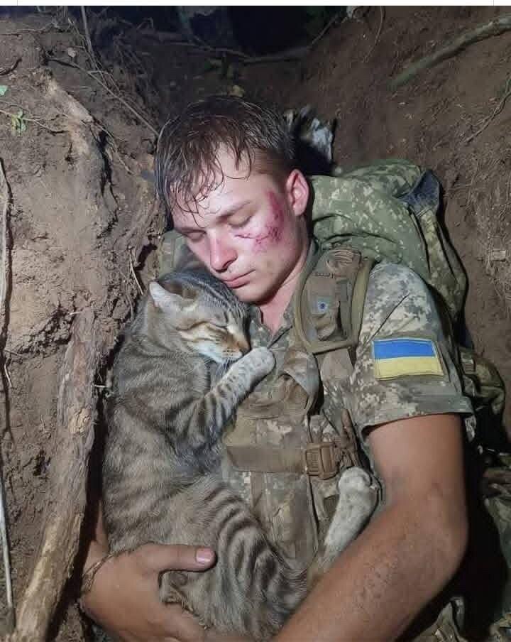 The photo of the day... nope, not of the day .. Photo of the week, month, year! A photo that should ...