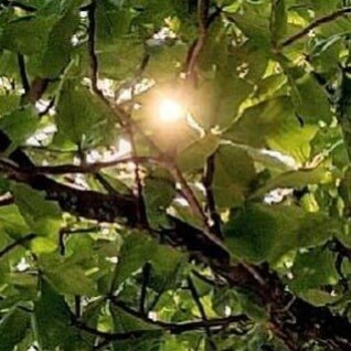 2a. conta - #AtéTuGettr ?
Jornalista Radialista Escritora