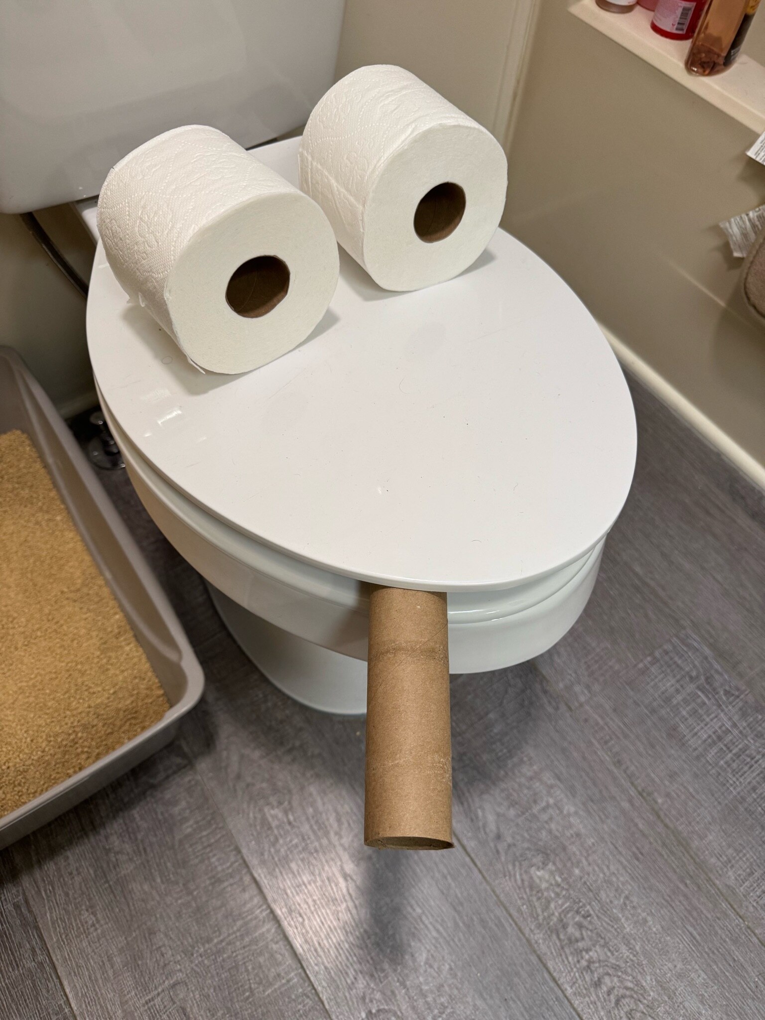 Caught my toilet smoking again! 🤣