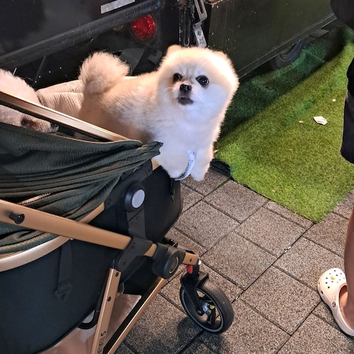 人生是一次体验灵魂进化的过程